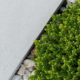 managemowed landscaping franchise - grass and a bush